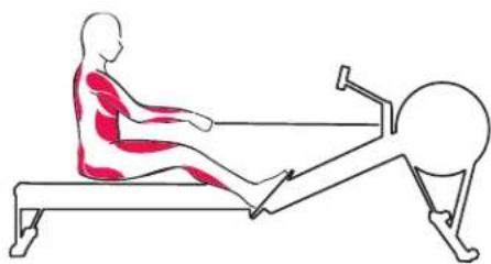 Concept2 Model D - DIE AUSLAGEPOSITION - 2