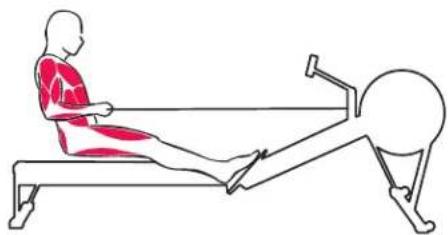 Concept2 Model D - DIE AUSLAGEPOSITION - 3