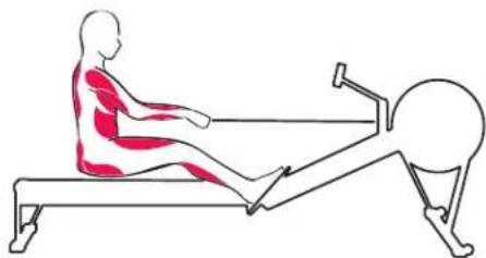 Line drawing of a person using a rowing machine (no text or symbols)