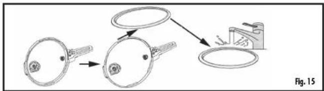 Fig. 15