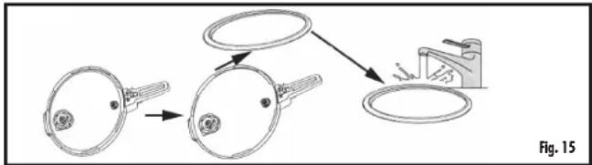Fig. 15