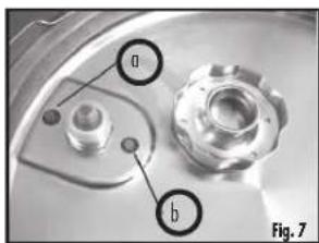a b Fig. 7