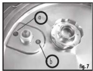 a b fig. 7