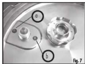 a b fig. 7
