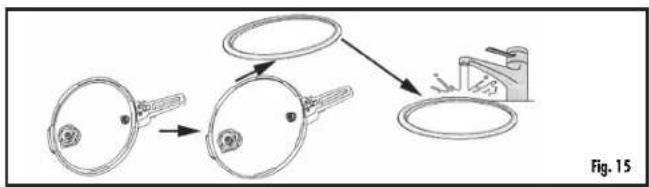 Fig. 15