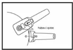 Pulbion Erapton