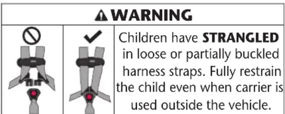 Evenflo Nurture - Usage Warnings - 1