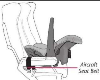 Aircraft Seat Belt