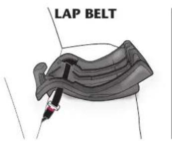LAP BELT