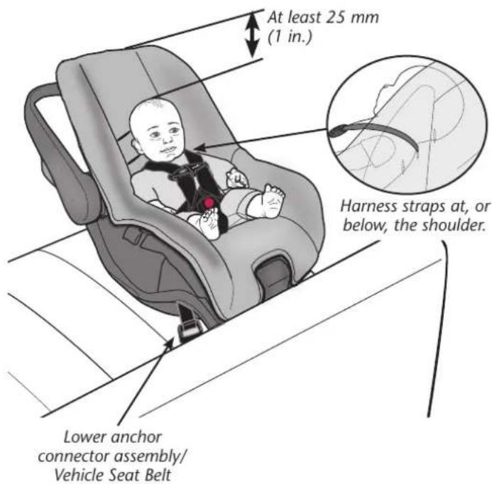 At least 25 mm (1 in.) Harness straps at, or below, the shoulder. Lower anchor connector assembly/ Vehicle Seat Belt