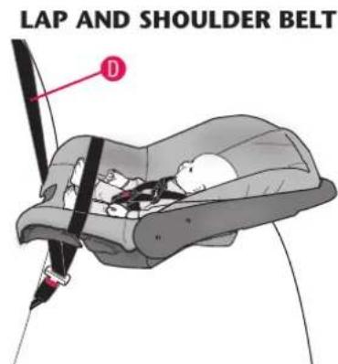 LAP AND SHOULDER BELT D