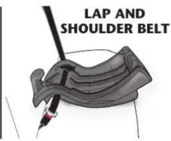 LAP AND SHOULDER BELT