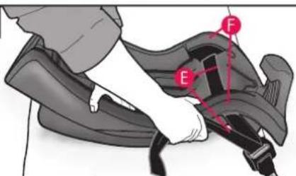Diagram showing a person adjusting a shoe seatbelt with labeled points E and F