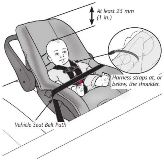 At least 25 mm (1 in.) Harness straps at, or below, the shoulder. Vehicle Seat Belt Path