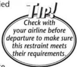 ed Check with your airline before departure to make sure this restraint meets their requirements.