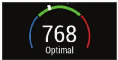 GARMIN Edge 1030 Plus - Få din estimering af træningsbelastning - 1