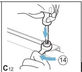 C12 ⑭