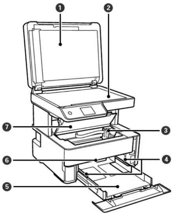 EPSON EcoTank ET-M3170 - Printerens basisfunktioner - 1