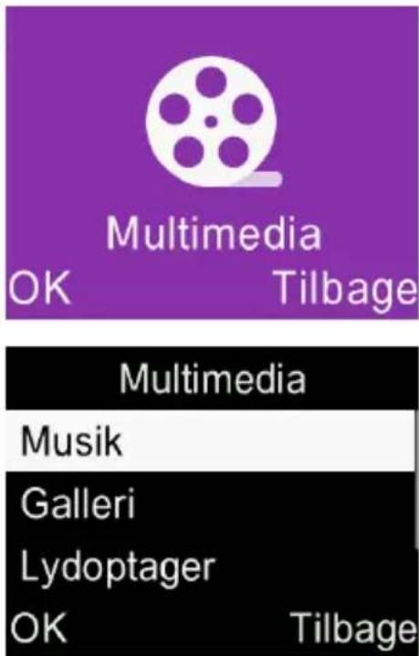 ALCATEL 2019 - Multimedie...... - 1