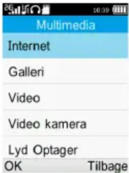 Multimedia Internet Galleri Video Video kamera Lyd Optager OK Tilbage