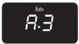 Auto A.3