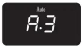 Auto A.3