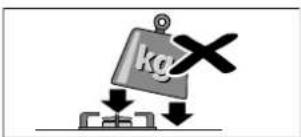 kg