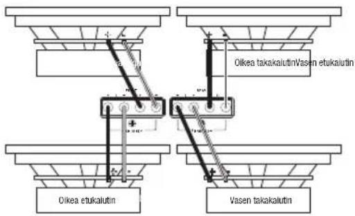Olkea takakalutinVasen etukalutin Olkea etukalutin Vasen takakalutin
