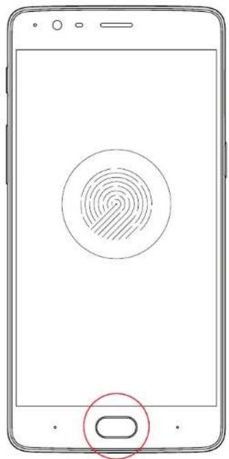 Diagram of a smartphone showing a fingerprint icon with a red circle highlighting the fingerprint's location on the right side.