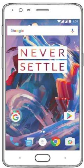 Google NEVER SETTLE Google Playforge
