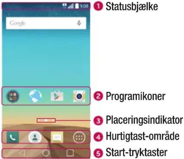 LG Leon - Baggrund - 1