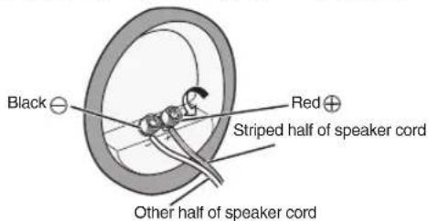 Black Red Striped half of speaker cord Other half of speaker cord