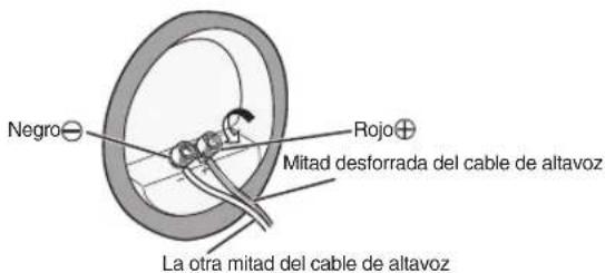 Negro⊖ Rojo⊕ Mitad desforrada del cable de altavoz La otra mitad del cable de altavoz