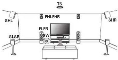 TS SHL FHLFHR SHR SLSR FLFR SW C