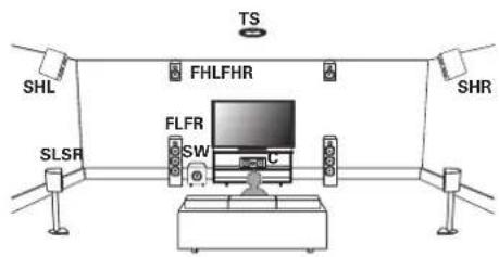 TS SHL FHLFHR SHR SLSR FLFR SW C
