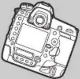 NIKON D6 - ความเฉียง - 1