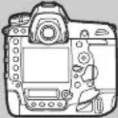 NIKON D6 - ความเฉียง - 2
