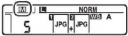 NIKON D6 - การใช้การ์ตหน่วยความจำสองใบ - 1