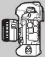 NIKON D6 - ความเฉียง - 5