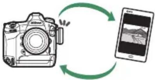 NIKON D6 - การถ่ายภาพจากระยะไกลด้วยเบาเชอร์ (ใหมดเชิร์ฟเวอร์ HTTP) - 1