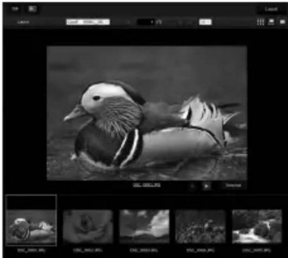 NIKON D6 - การดูภาพขนาดย่อ - 2