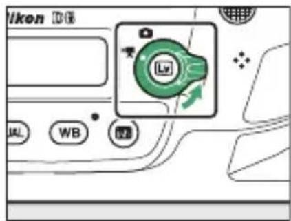Icon DG Lvl JAL WB RW