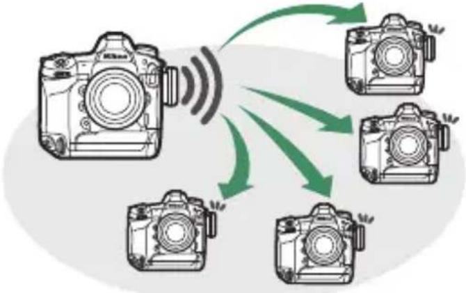 NIKON D6 - ถ่ายภาพ - 1