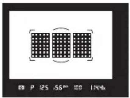 NIKON D6 - การเลือกโหมดโพกัส - 2