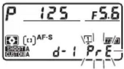 P 125 F5.6 [1]AF-S SHOOTA d-1 PrE