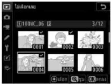 100MC_06 3/12 0001 0002 0003 0004 0005 0006