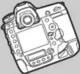 NIKON D6 - ความเฉียง - 3
