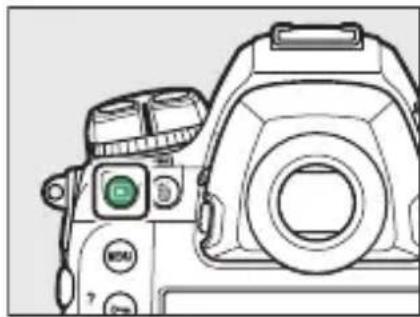 NIKON D6 - แสดงภาพ - 1