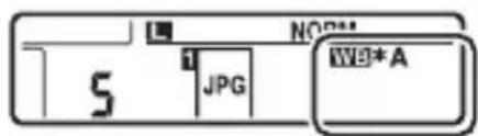 5 JPG NOP++ W9*A