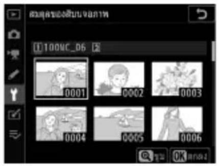 100MC_06 0001 0002 0003 0004 0005 0006